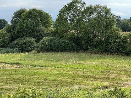 Nahe A20 - Gewerbeobjekt (Büro, Produktion, Verkauf) in Badendorf zur Miete