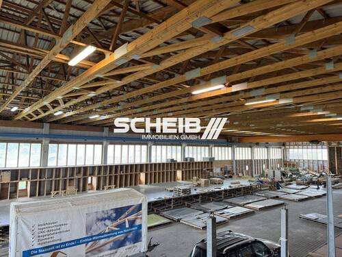 viel Platz - 