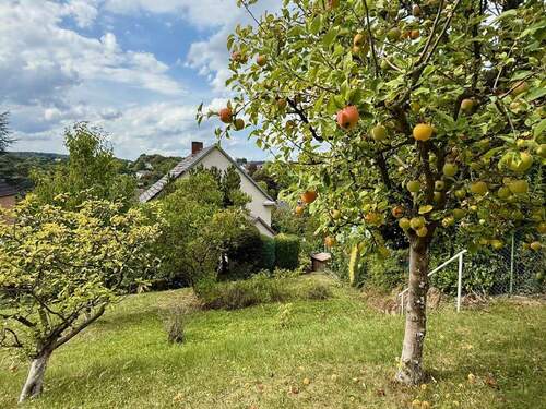 Altbau Hemer (Rückansicht mit Garten) - 6 Zimmer Mehrfamilienhaus, Wohnhaus zum Kaufen in Hemer