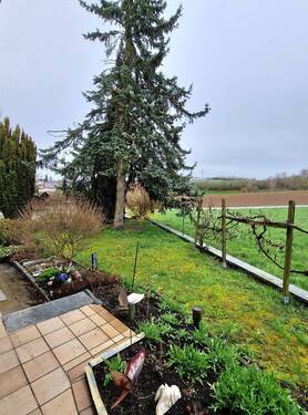 Blick von Terrasse zur Einfahrt.jpg - 