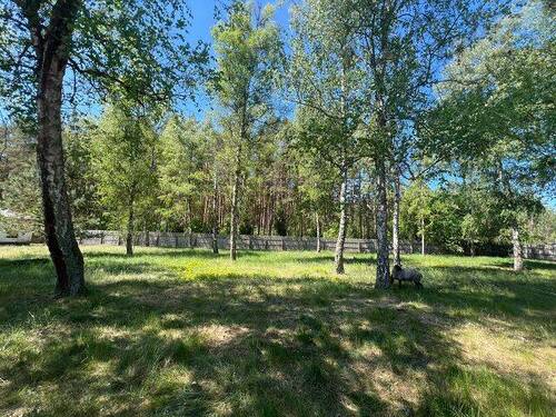 Garten - Leben und Arbeiten zwischen Wald und See in der Schorfheide