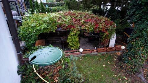 Blick auf den idyllisch überwachsenen Sitzbereich - 