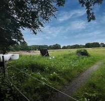 Großes Grundstück in Sibbersdorf - Eutin