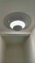 Tageslicht-Spot Flur DG - 