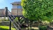 Baumhaus - 