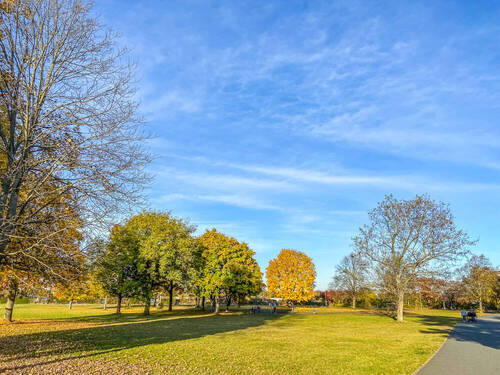 Der nahegelegene Westpark - 
