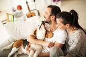 Willkommen Zuhause - 