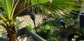 Bild 25 - 