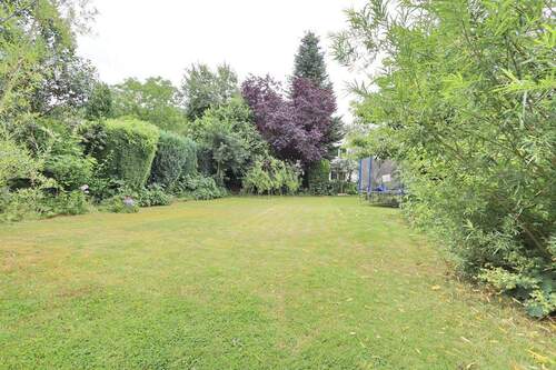 Grundstück hinten - 