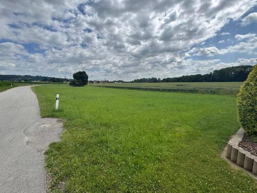 Zweites Grundstück - Landwirtsch. Fläche - 