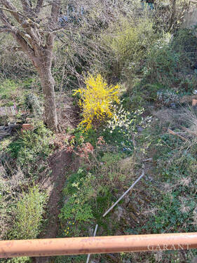 garten hinten (1) - 7 Zimmer Mehrfamilienhaus, Wohnhaus zum Kaufen in Stuttgart
