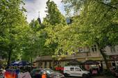 Alt-Tegel 25_Mai2024_00012 - 