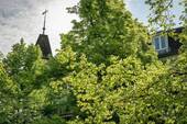 Alt-Tegel 25_Mai2024_00014 - 