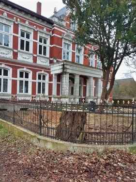 Vorderansicht mit Baum - 