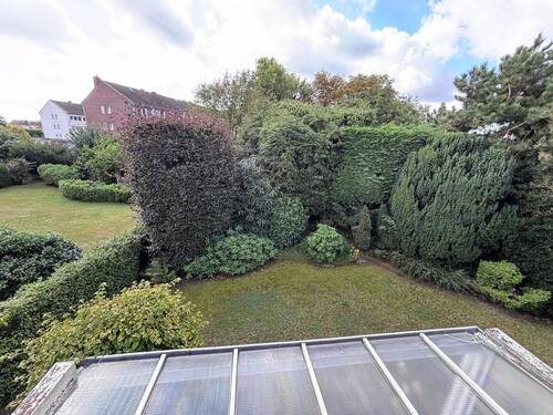 Blick in den Garten - 