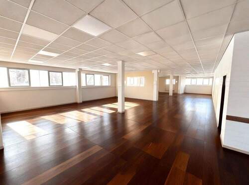 Fläche links vom Eingang - 