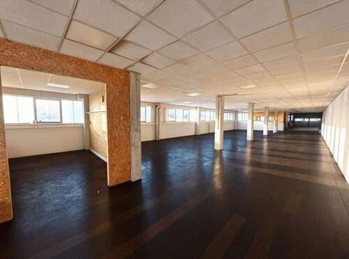 EG langer Schlauch hinten - 