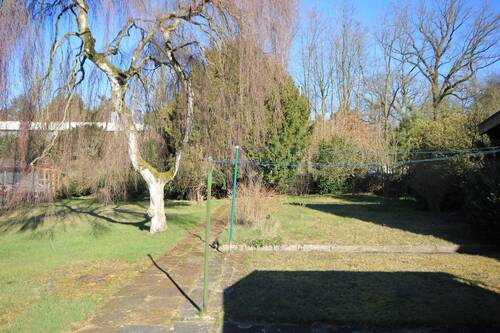 Blick in den Garten - 