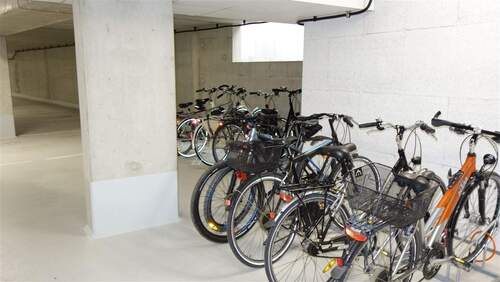 Stellplatz Fahrrad - 