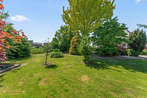 Garten - 