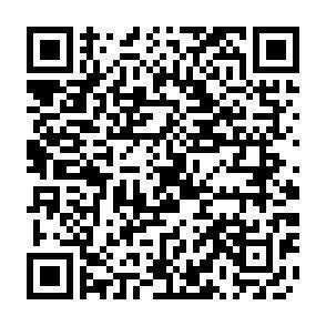 QR-Code - 