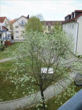 Blick v. der Wohnung in die Parkanlage - 2 Zimmer Etagenwohnung zum Kaufen in Garching an der Alz