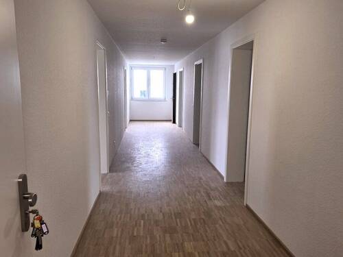20250317_141747 (Mittel).jpg - 