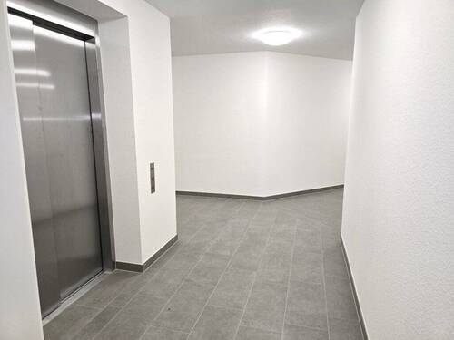 20250317_142400 (Mittel).jpg - 