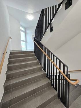 20250317_142545 (Mittel).jpg - 