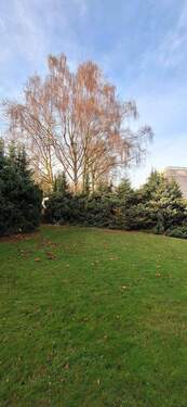 Blick vom Balkon/Zimmer - Gut geschnittene 2 Zimmer -Wohung mit Blick ins Grüne