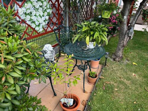 Garten - 5 Zimmer Reihenmittelhaus in Stadthagen