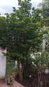 Bild 14 - 