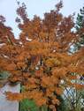 Bild 15 - 