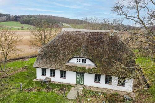 Ansicht Haus - 9 Zimmer Mehrfamilienhaus, Wohnhaus zum Kaufen in Neuenkirchen