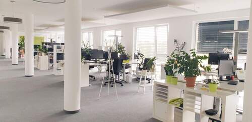 Ruhiges Großraumbüro mit wenig besetzten Tischen - Büro in Potsdam