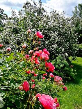 Herzlich Willkommen - 