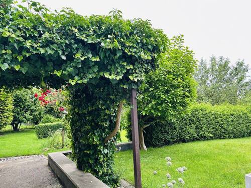 Bild 18 - 