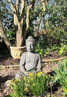 Aussen garten Buddha.jpeg - 