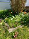 Garten3 - 