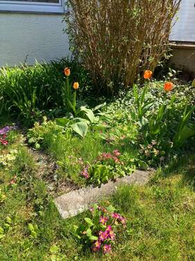 Garten3 - 