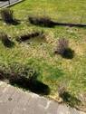 Garten5 - 
