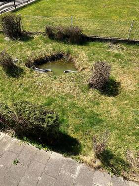 Garten5 - 