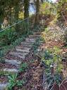 Garten4 - Kopie - 