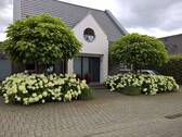 Vorderansicht - 