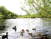 Bild 13 - 