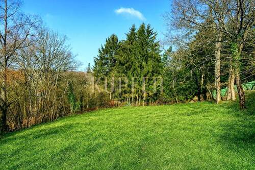 © KI Grundstück Forchheim - Grundstück in Forchheim