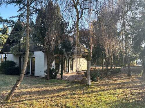 Terrasse & Garten - 4 Zimmer Einfamilienhaus in Kreuzwertheim