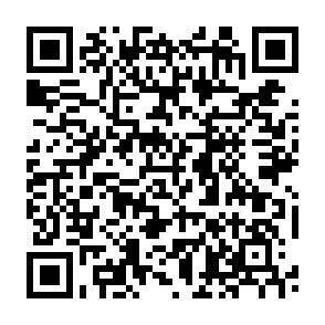 QR-Code - 