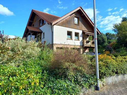 Seitenansicht - 7 Zimmer Mehrfamilienhaus, Wohnhaus in Diemelstadt-Wrexen