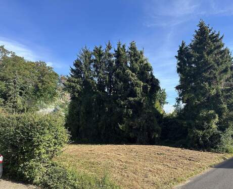 tolles Baugrundstück - Tolles Baugrundstück in 52379 Langerwehe -VB-